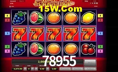 Slot Games 78955